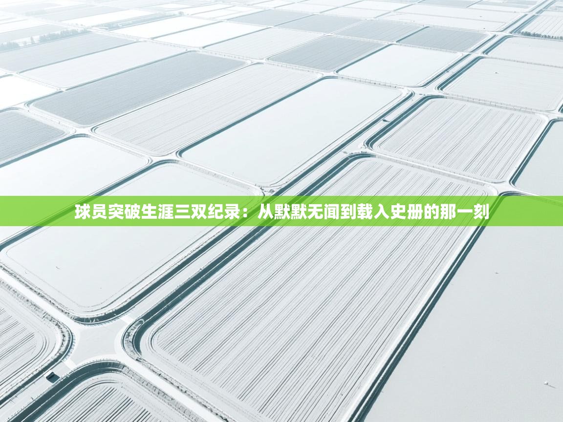 球员突破生涯三双纪录:从默默无闻到载入史册的那一刻 第1张