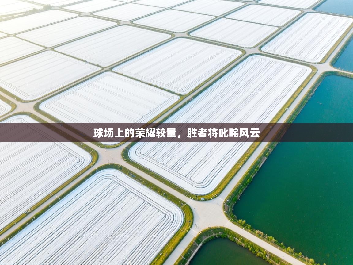 球场上的荣耀较量，胜者将叱咤风云  第1张