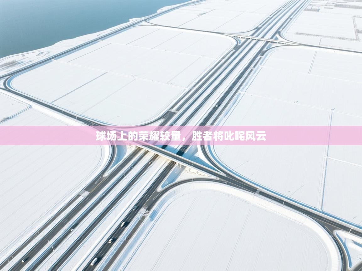 球场上的荣耀较量，胜者将叱咤风云  第2张