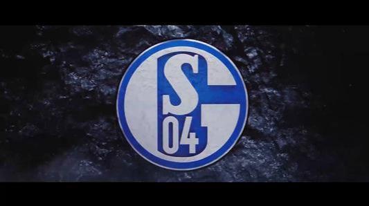 包含沙尔克主场艰难取胜，保住中游位置的词条